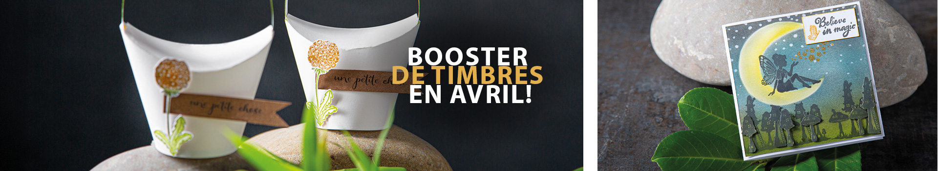 Promotion : soirée tampons